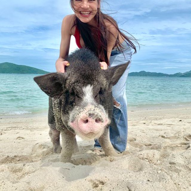 Koh Samui: Pig Island Tour by Speedboat with Snorkeling - Ko Taen snorkeling: clear water, colorful fish, and realistic conditions