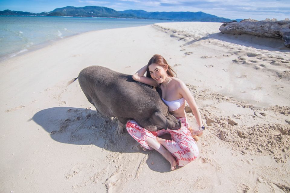 Koh Samui: Pig Island Tour by Speedboat with Snorkeling - Comfort and packing: make it easy in sun, sand, and water