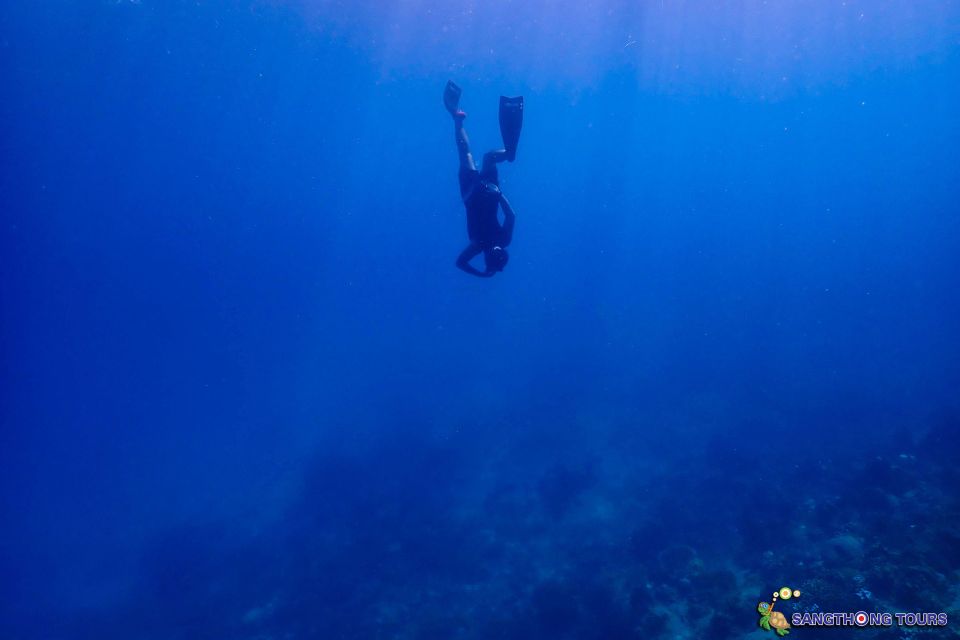Koh Tao: Islands Snorkeling Highlights Day Tour & Lunch - Japanese Reef Garden Snorkeling: Where the Reef Life Shows Up