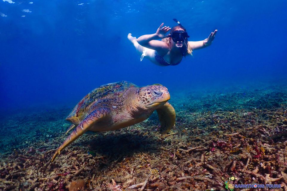 Koh Tao: Islands Snorkeling Highlights Day Tour & Lunch - Ao Hin Wong: Clear Water, Boulders, and Watching Fish in Near-Perfect Conditions