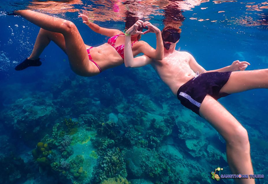 Koh Tao: Islands Snorkeling Highlights Day Tour & Lunch - Shark Bay: The Wildlife Finale With Sharks and Turtles in the Same Conversation