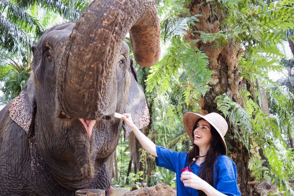 Krabi: Elephant Bathing Session at Krabi Elephant Shelter - Krabi Elephant Bathing Session: Why This Shelter Routine Feels Different
