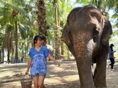 Krabi: Elephant Bathing Session at Krabi Elephant Shelter - From Ao Nang Pickup to Shelter Arrival: What Your 90 Minutes Actually Includes