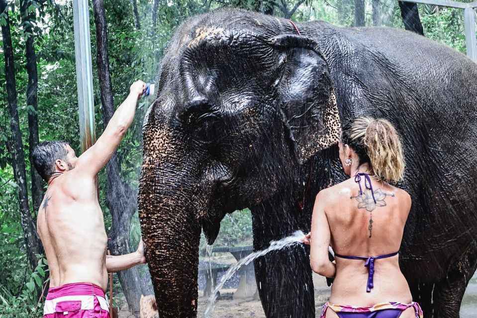 Krabi: Elephant Bathing Session at Krabi Elephant Shelter - Photos, Guides, and Staying Safe Around “Gentle Giants”