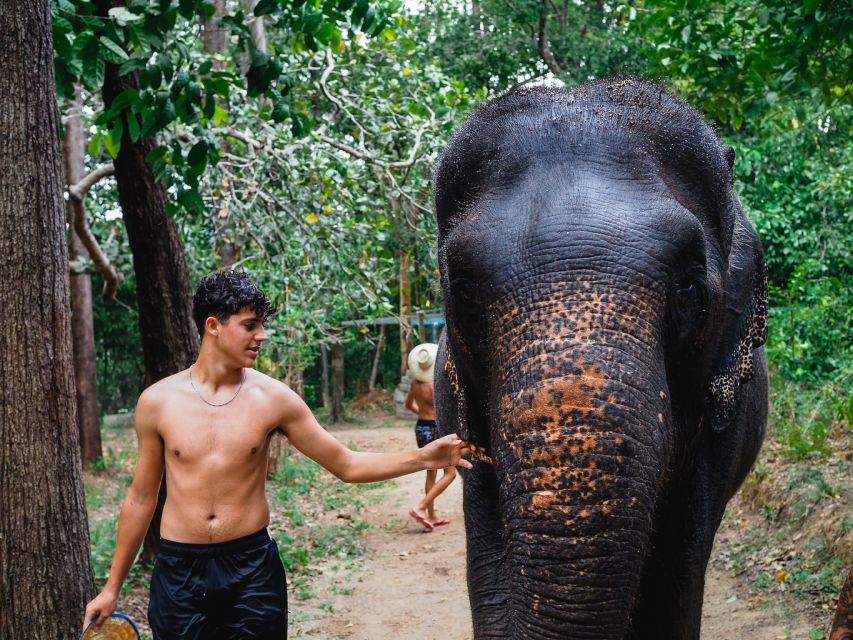 Krabi: Elephant Bathing Session at Krabi Elephant Shelter - Price and Value: Does $48 Make Sense Here?