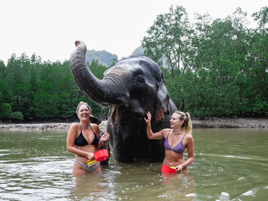 Krabi: Elephant Bathing Session at Krabi Elephant Shelter - What to Bring (and What to Skip) for a Comfortable Session