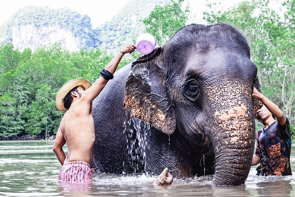 Krabi: Elephant Bathing Session at Krabi Elephant Shelter - Should You Book Krabi Elephant Shelter Elephant Bathing?