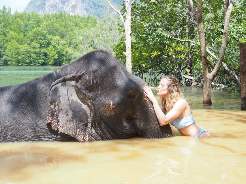 Krabi: Elephant Bathing Session at Krabi Elephant Shelter - FAQ
