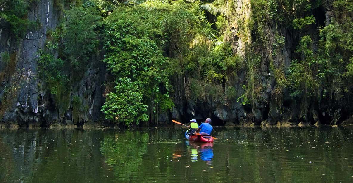 Krabi: Kayak Adventure through Ao Thalane Mangrove Forest - Key highlights to put on your radar