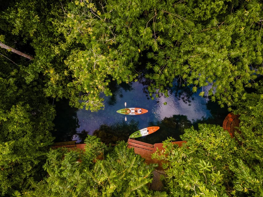 Krabi: Kayak Adventure through Ao Thalane Mangrove Forest - On-Water Route Through Mangroves, Canyons, and Cave Passages
