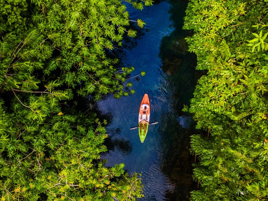 Krabi: Kayak Adventure through Ao Thalane Mangrove Forest - Price and Value: Is $38 Fair for This Experience?