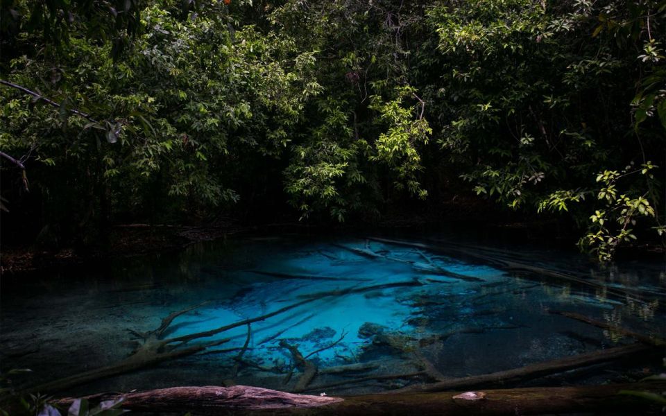 Krabi: Tiger Cave, Hot Springs and Emerald Pool Jungle Tour - Why this Krabi jungle day feels different than the usual “3 stops”