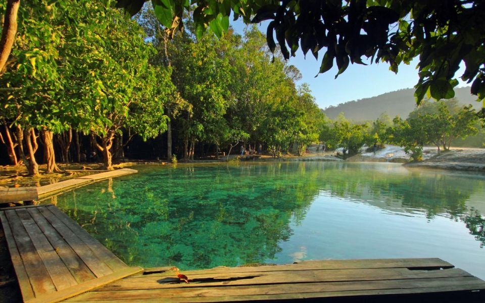 Krabi: Tiger Cave, Hot Springs and Emerald Pool Jungle Tour - The jungle walk through Thung Theo: biodiversity you can actually notice