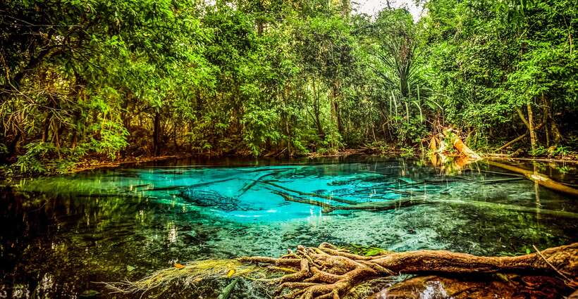 Krabi: Tiger Cave Temple, Emerald Pool and Hot Springs Tour - Price and Value: Is $59 a Fair Deal?