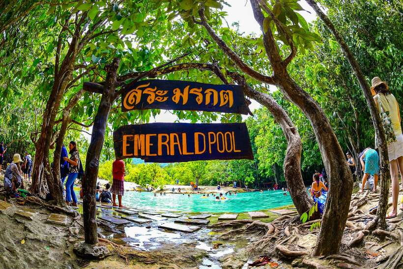 Krabi: Tiger Cave Temple, Emerald Pool and Hot Springs Tour - Lunch Break at a Local Restaurant: What to Expect and What It Costs