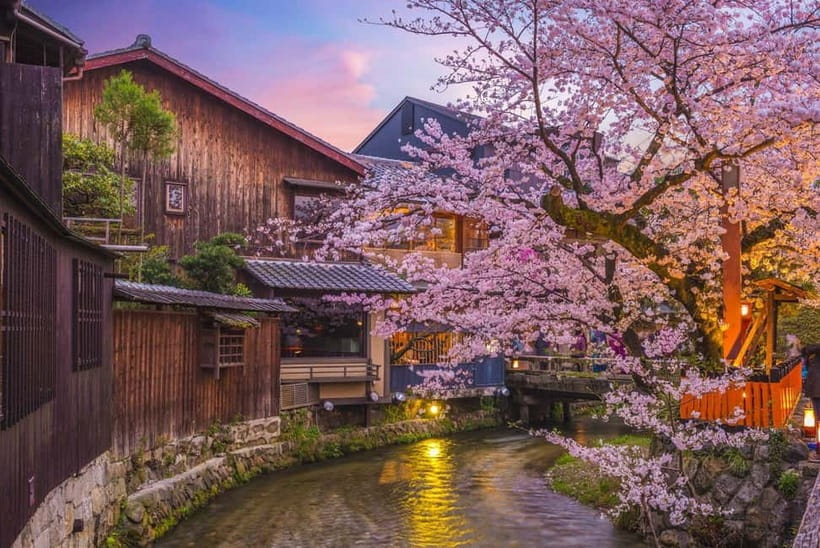 Kyoto Geisha Walking Tour: Gion District & Hidden Gems - Chion-in Temple and its national treasures