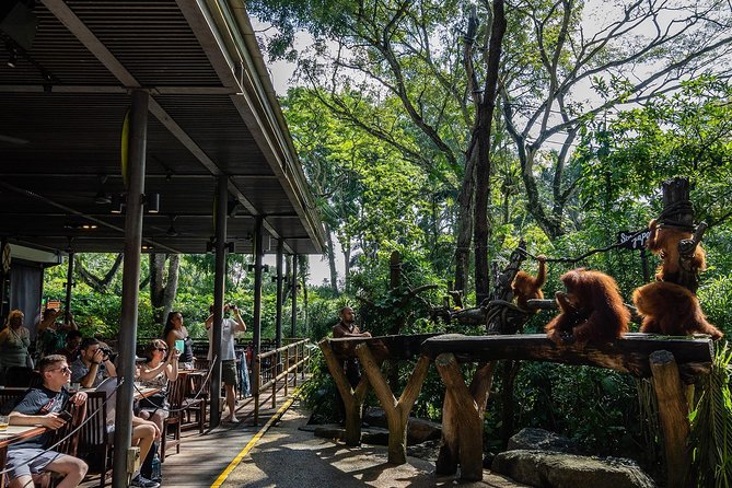 Morning at the Zoo with 1-way Transfer (Free & Easy) - The Open-Habitat Tram Tour: Efficient Animal Seeing with Real Commentary
