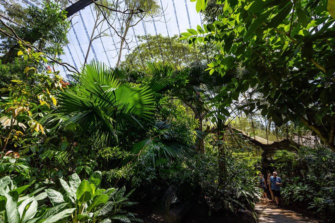 Morning at the Zoo with 1-way Transfer (Free & Easy) - The Timing Reality: How Much Zoo Time You Get