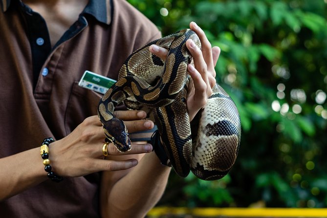 Morning at the Zoo with 1-way Transfer (Free & Easy) - Where the Value Shows Up (and Where It Can Feel Thin)