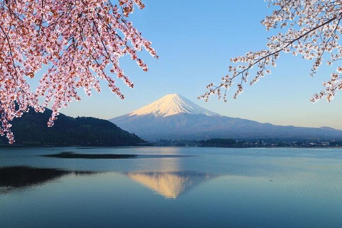 Mt Fuji & Hakone Cruise, Drum Show Bullet Train 1 Day from Tokyo - Quick Hits Before You Go