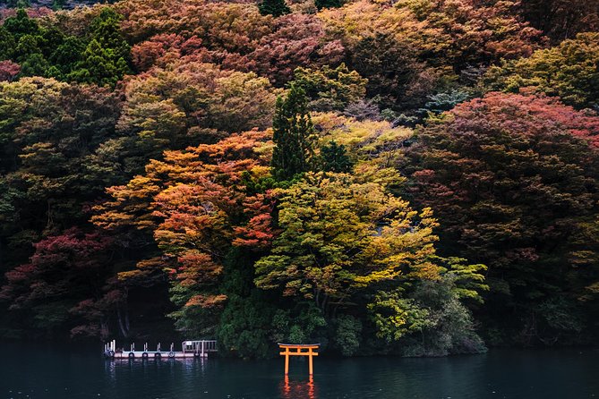 Mt Fuji & Hakone Cruise, Drum Show Bullet Train 1 Day from Tokyo - Lunch at Fuji Zakura Hotel and the Wadaiko Drum Moment