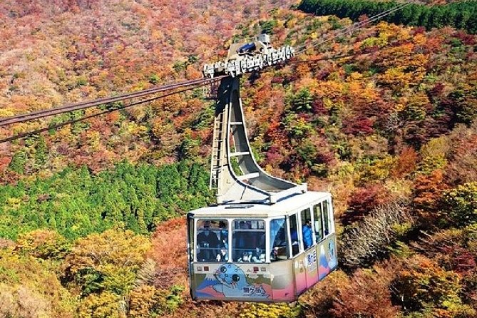 Mt Fuji & Hakone Cruise, Drum Show Bullet Train 1 Day from Tokyo - Value for $149.94: Where the Money Actually Goes
