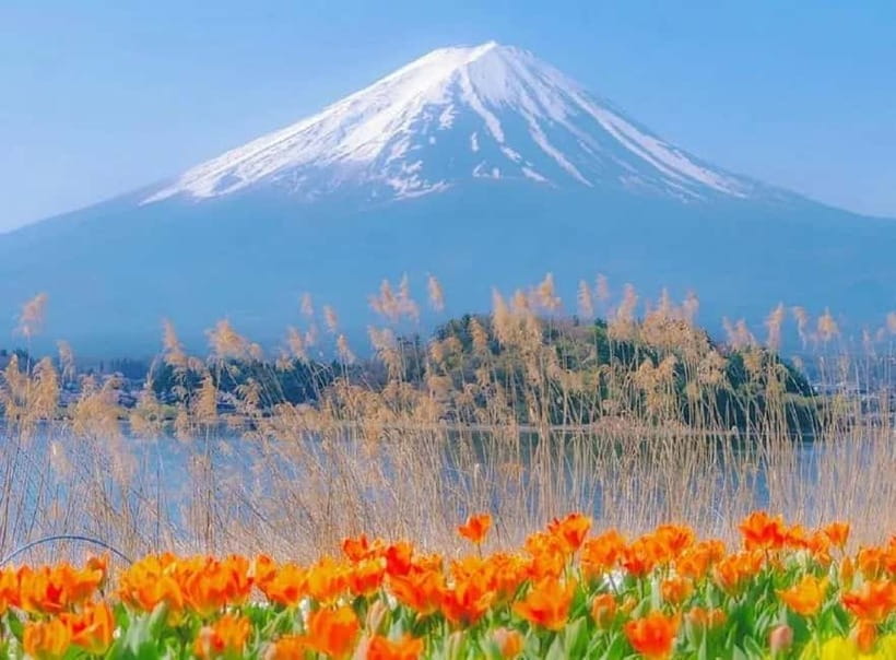 Mt Fuji Top 5 Spots Day Tour: Arakurayama Park,Oshino Hakkai - Why this Mt Fuji day tour beats DIY on a tight schedule