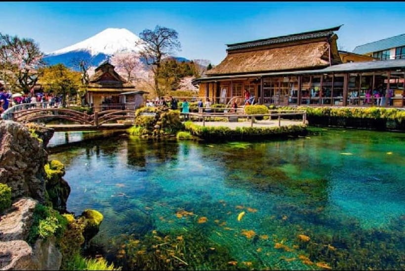 Mt Fuji Top 5 Spots Day Tour: Arakurayama Park,Oshino Hakkai - Lunch, water, and cash: the small details that matter more than you expect
