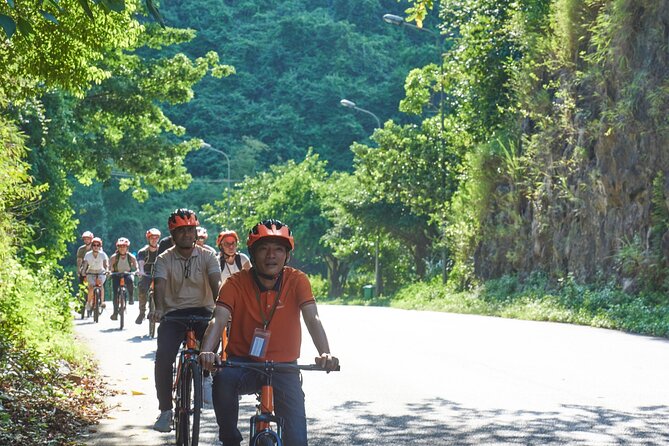 Ninh Binh Day Trip: Hoa Lu-Trang An/Tam Coc-Mua Cave-Cycling-Boat - Trang An Grottoes Boat Ride: What the Rowing Bamboo Experience Really Feels Like
