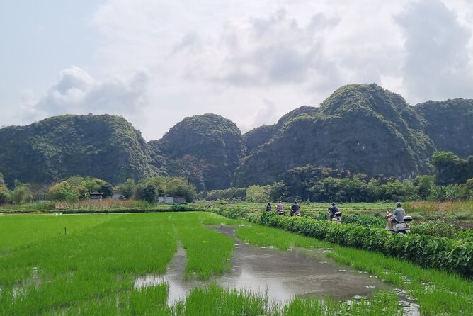 Ninh Binh HIGHTLIGHT & HIDDEN GEM Tour From Hanoi: Skip-The-Line - Hoa Lu Temples: Dinh and Le’s ancient capital stop
