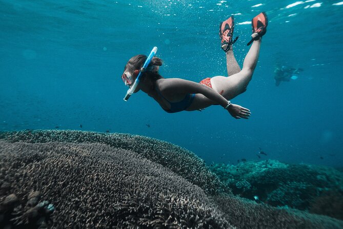 Nusa Penida day trip: boat, 4 snorkeling, Manta rays & Land tour - Price and value: what you pay for, and what you’ll add later