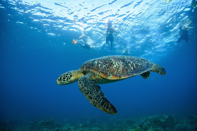 Nusa Penida day trip: boat, 4 snorkeling, Manta rays & Land tour - Safety and comfort: what’s worth preparing for