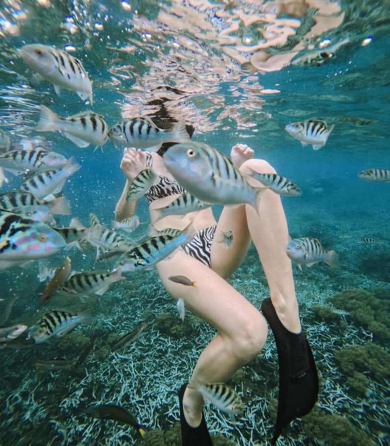 Nusa Penida: Snorkeling 3 Spots with GoPro & West Land Tour - Where This Nusa Penida Tour Fits In Your Bali Trip