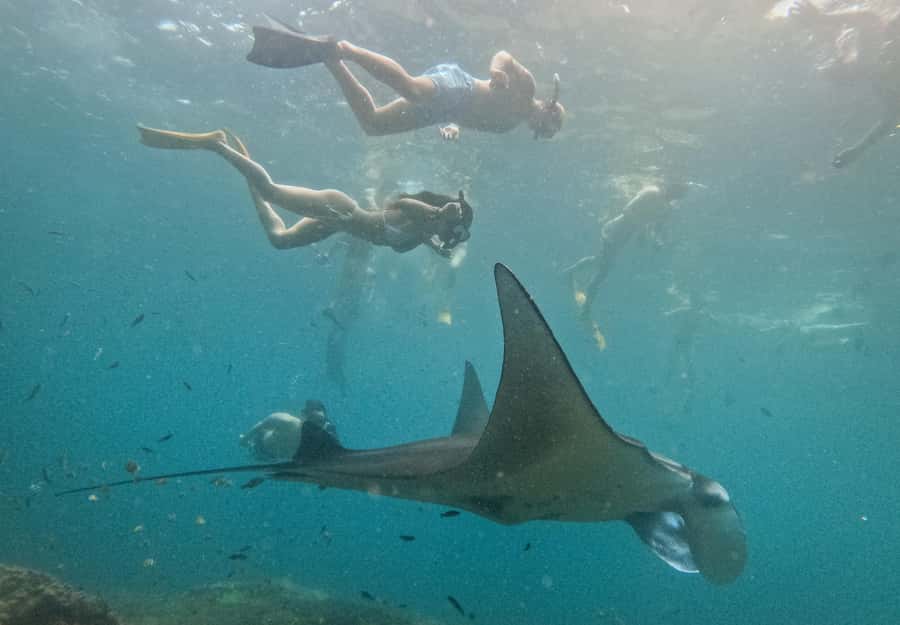 Nusa Penida: Snorkeling 3 Spots with GoPro & West Land Tour - GoPro Setup: What You Get and How to Make Your Footage Actually Good