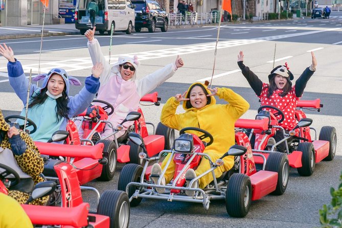 Osaka Go Karting Tour with Funny Costume - Key highlights you’ll care about