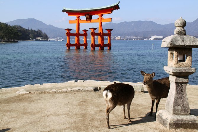 Peaceful Hiroshima & Miyajima UNESCO 1 Day Bus Tour - A Price You Can Actually Compare: What $129.25 Buys You