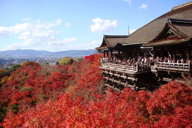 PERFECT KYOTO 1-Day Bus Tour - Key takeaways before you go