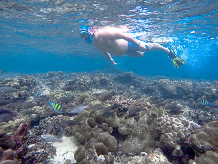 Phi Phi & Bamboo Islands: Premium Day Trip w/ Seaview Lunch - Getting on the road: pickup, marina check-in, and the speedboat day rhythm