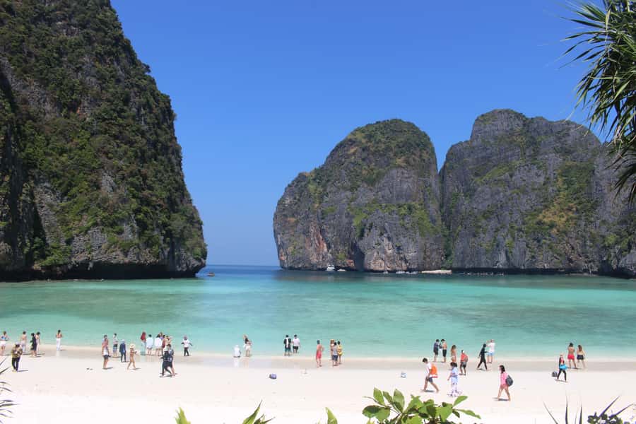 Phi Phi & Bamboo Islands: Premium Day Trip w/ Seaview Lunch - Lunch on Phi Phi Don: Halal buffet, resort setting, and real downtime