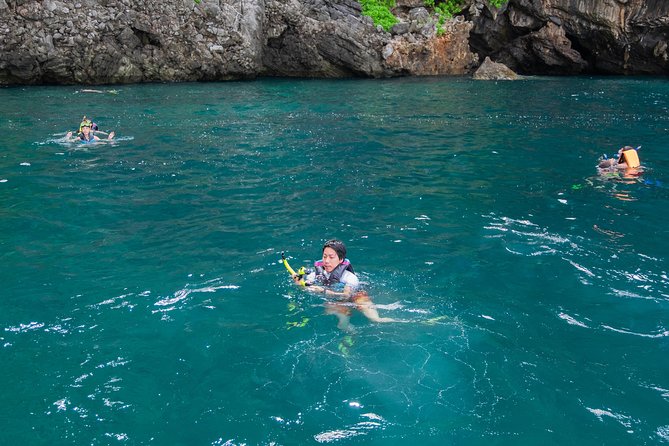 Phi Phi Islands Adventure Day Trip w/ Seaview Lunch by V. Marine - Monkey Beach and the swallow-bird cave: wildlife you watch, not touch