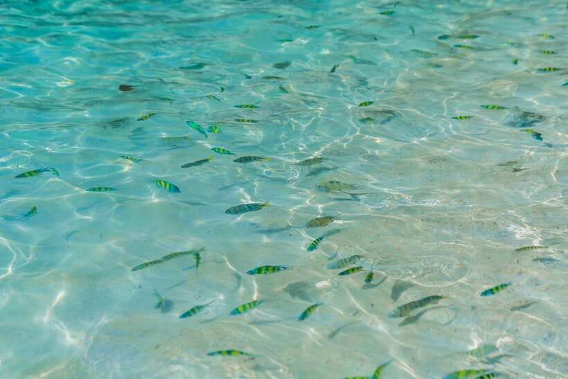 Phuket: 3 Khai Islands Relax & Snorkeling Half/Full Day Tour - Who This Tour Fits Best (and Who Should Skip It)