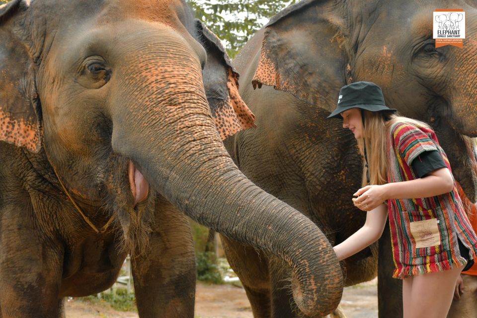 Phuket: Elephant Jungle Sanctuary Ethical Feeding Experience - Key highlights to know before you go