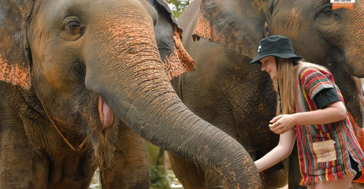 Phuket: Elephant Jungle Sanctuary Ethical Feeding Experience - What you do during the feeding portion (and why it feels special)