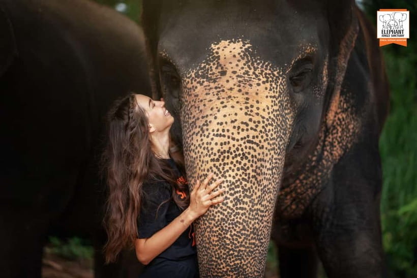 Phuket: Elephant Jungle Sanctuary Ethical Feeding Experience - Walking around the feeding area: observation time that builds understanding