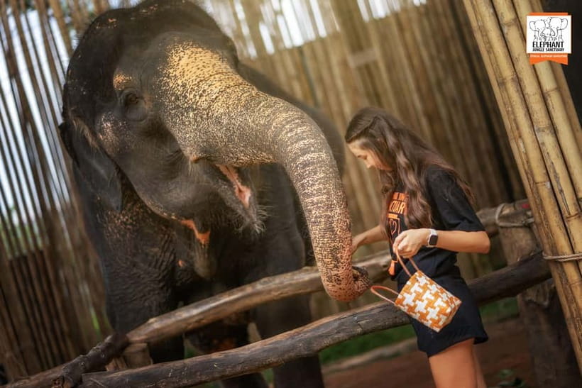 Phuket: Elephant Jungle Sanctuary Ethical Feeding Experience - Soft drink at the end: a small touch that helps the day land