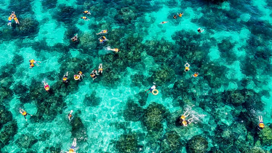 Phuket: Maya, Phi Phi, and Bamboo Island with Buffet Lunch - Speedboat island-hopping from Phuket: worth it, or too much for one day?