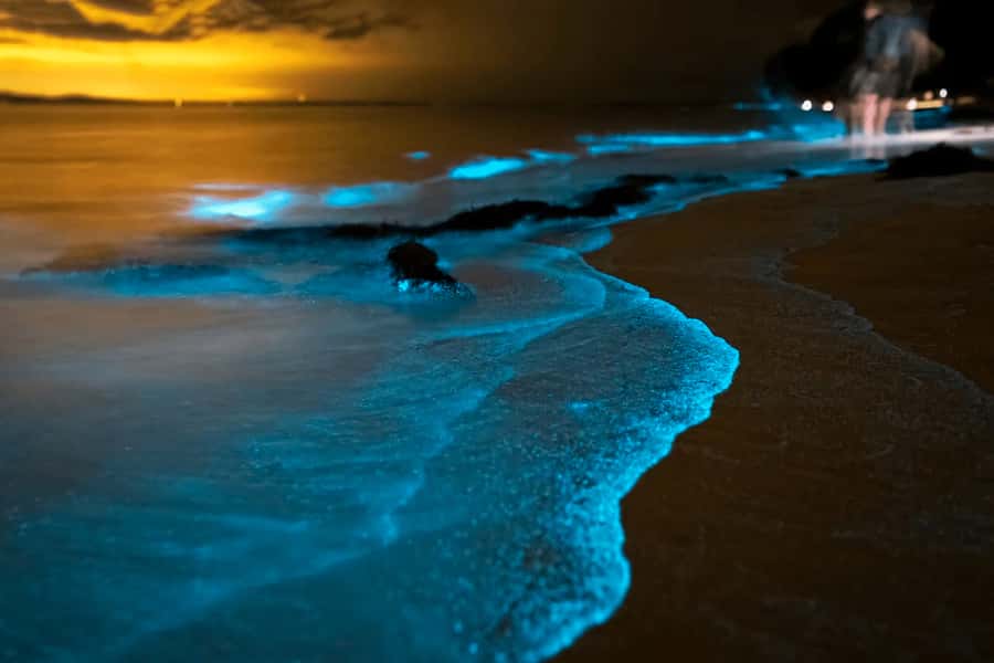 Phuket: Phang Nga Bay Bioluminescent Plankton and Sea Canoes - Ko Hong kayaking: lagoons and rock formations up close
