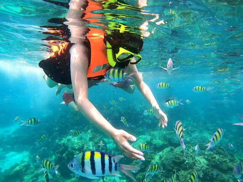 Phuket: Phi Phi Islands and Maya Bay Day Trip with Lunch - Speedboat Morning from Phuket: Expect Motion and Good Views