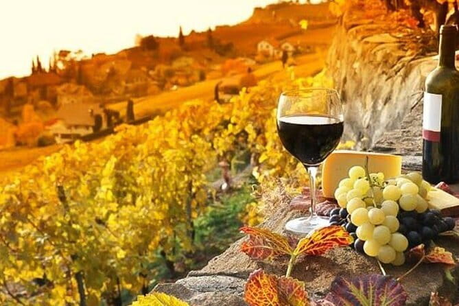 Pisa, Siena and San Gimignano Day Trip with Lunch & Wine Pairing - Wine-country lunch at a family winery: the day’s comfort break