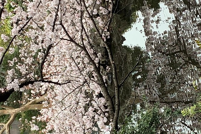 Private Tour to Mt. Fuji and Hakone (Fully Licenced Operator) - Hakone Highlights: Lake Ashi Cruise and Owaku-dani’s Black-Egg Valley